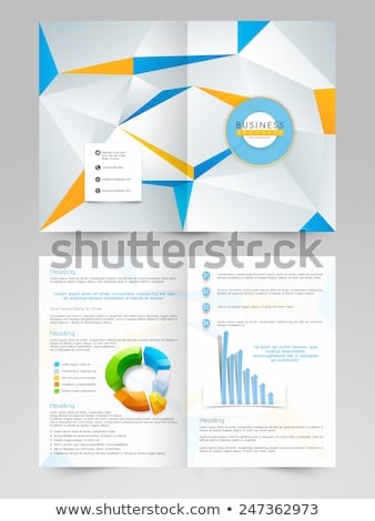 Creative Professional Business 2 Page Flyer Stock Vector Royalty