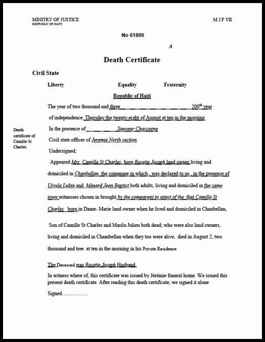 Death Certificate Template 23 Best Translation