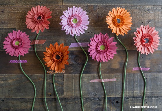DIY Gerbera Daisy Paper Flower Gerber Template