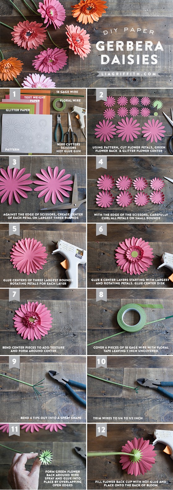 DIY Gerbera Daisy Paper Flower Gerber Template