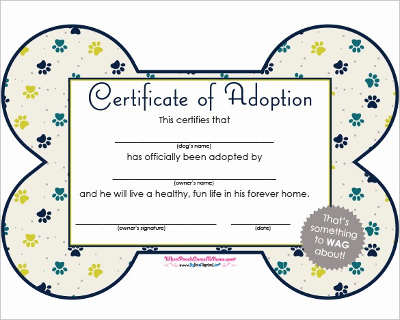 Dog Show Certificate Template Gimpexinspection