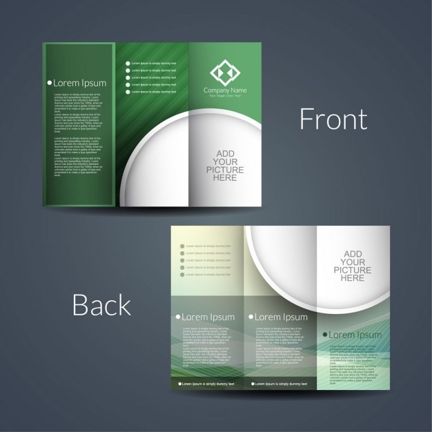 Double Sided Brochure Vector Free Download How To Make A