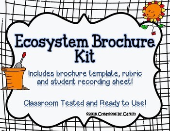 Ecosystem Brochure Teaching Resources Teachers Pay