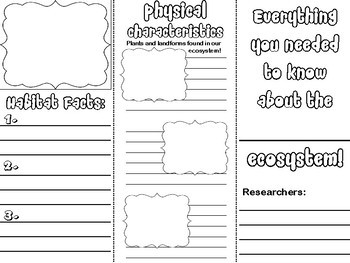 Ecosystem Research Brochure By Mr Muffin Top Teachers Pay