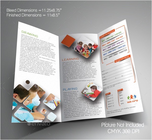 Elementary School Brochure Template 20 Brochures
