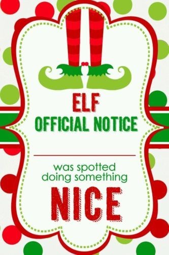 Elf On The Shelf Dolls Adoption Certificate And Mail X 2 Packets
