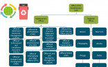 EPA Org Chart Examples Editable And Free To Download Charting