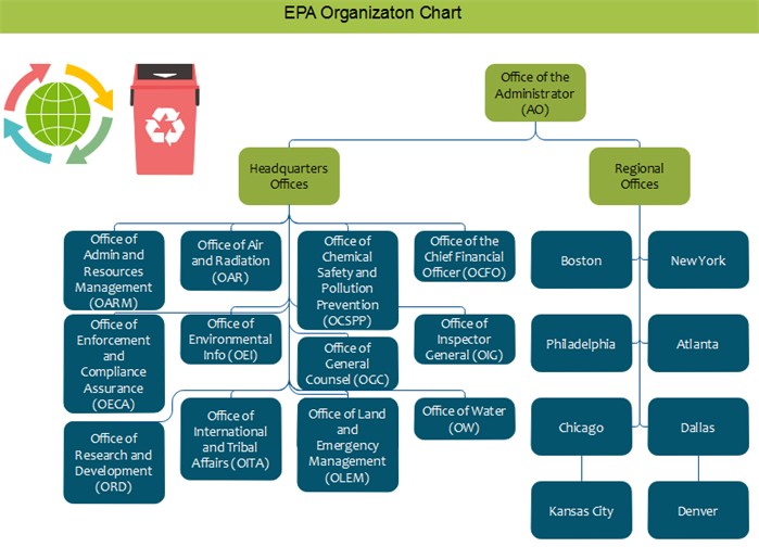 EPA Org Chart Examples Editable And Free To Download