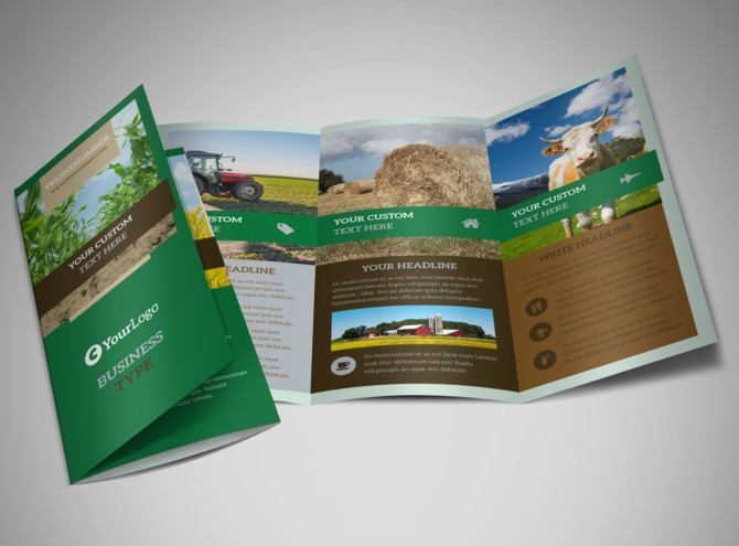 Farm Consultants Brochure Template MyCreativeShop Agriculture Design