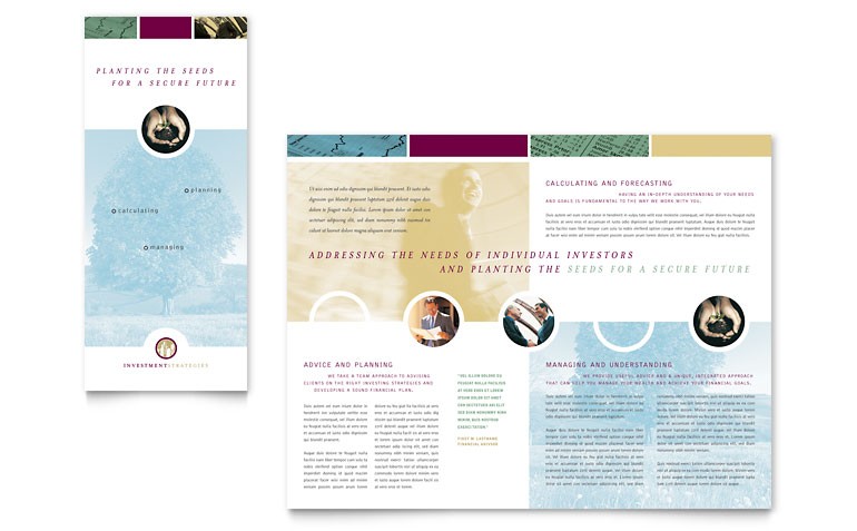 Financial Consulting Tri Fold Brochure Template Word Publisher