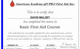 First Aid Certification Online Free Basic Short Courses Swinburne Training Certificate Template
