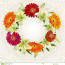 Floral Card Template Stock Vector Illustration Of Celebration Gerber Daisy