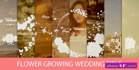 Flower Growing Wedding Title After Effects Project Videohive Titles