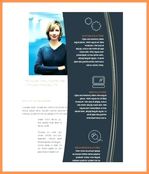 Free Brochure Templates For Publisher 2010 Document Template