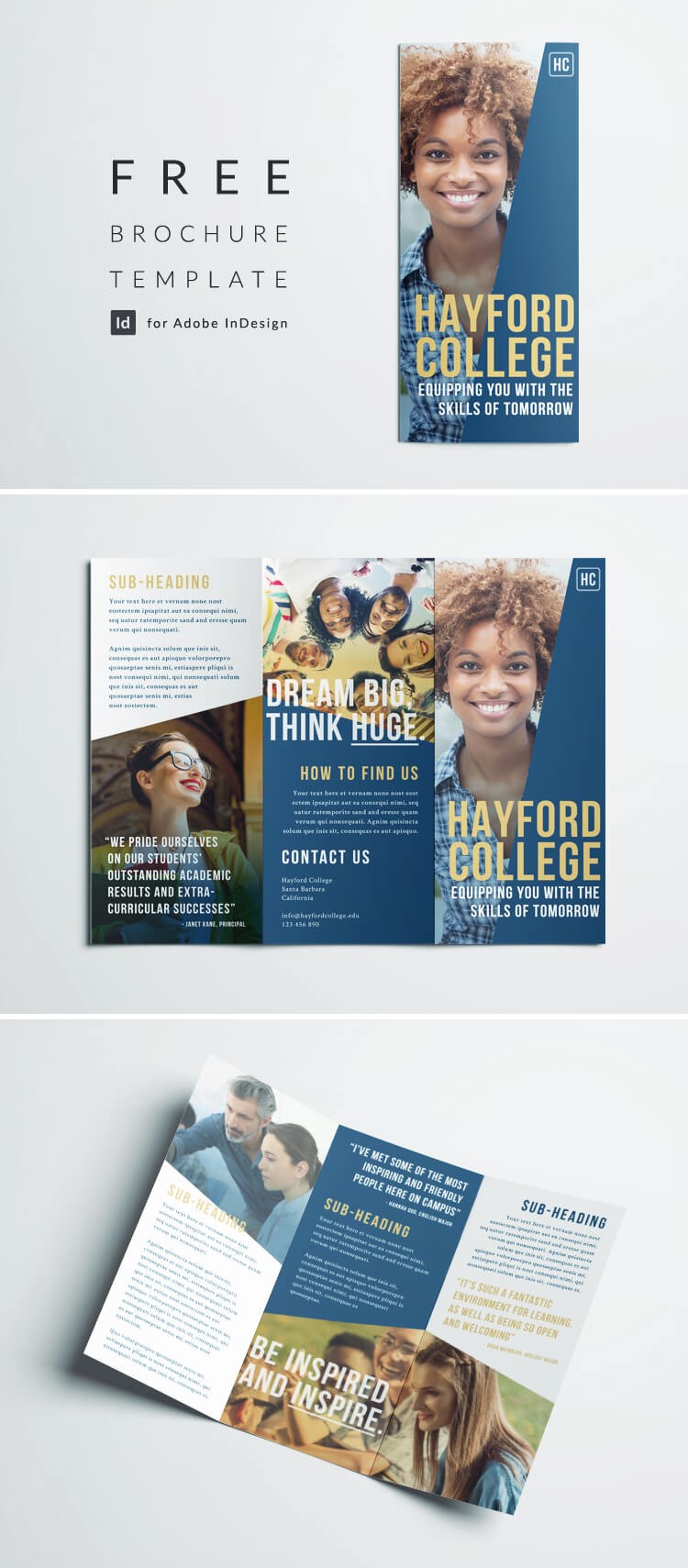 Free College Brochure Template Simple Tri Fold Design Templates