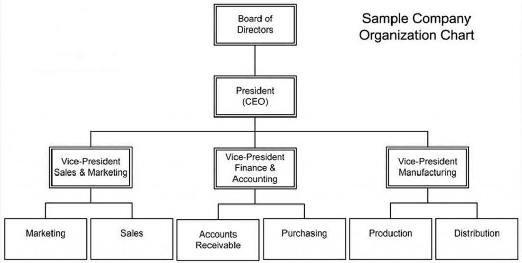 Free Company Structure Chart Template Corporate