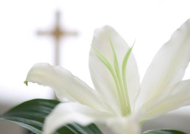 Free Funeral Program Backgrounds Clipart Background Images