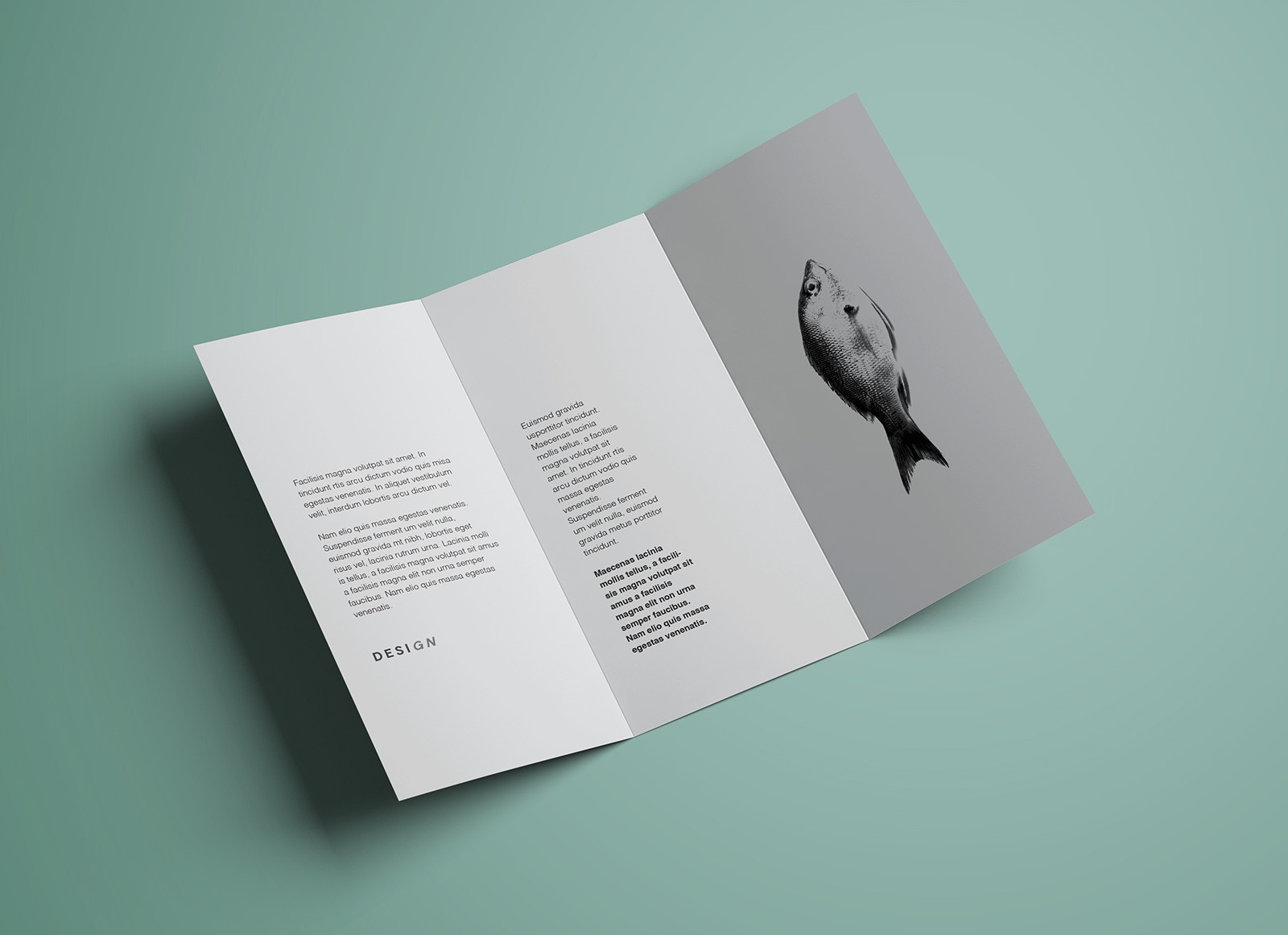 Free Premium Tri Fold Brochure Mockup PSD Good Mockups Template