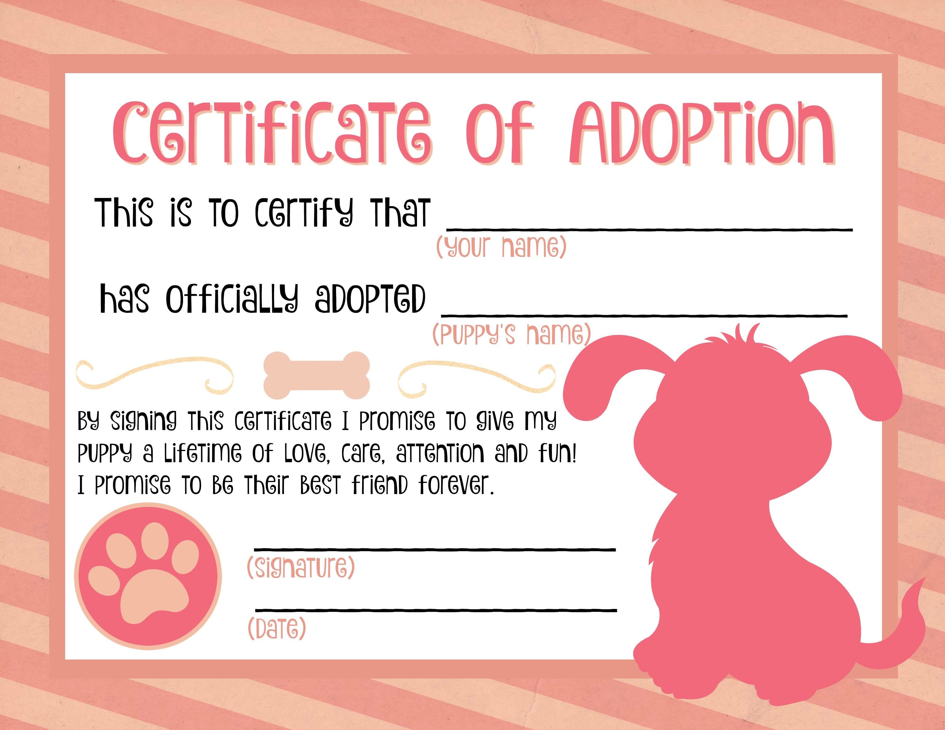 Free Printable Stuffed Animal Adoption Certificate Baby S Template