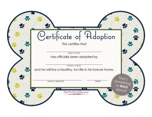 Free Printables Dog Adoption Certificates Big Dot Of Happiness Stuffed Animal Certificate Template