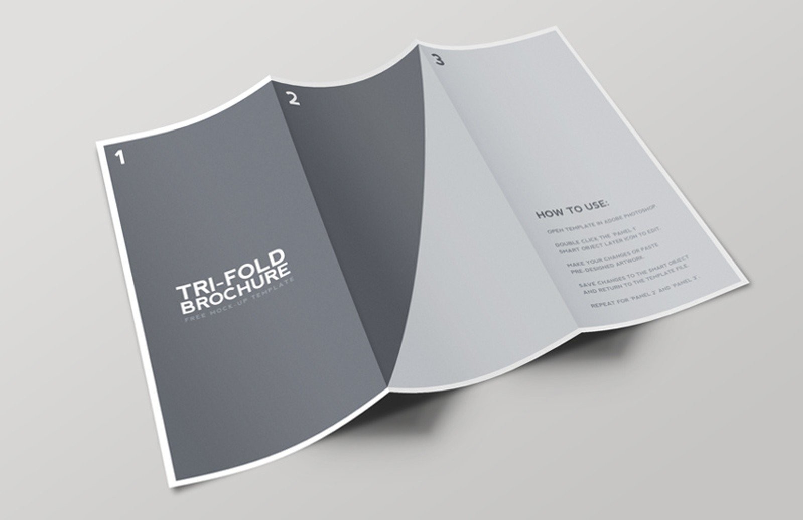 Free Tri Fold Brochure Mockup Template