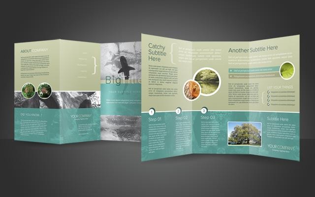 Free Tri Fold Brochure Template Psd Com Photoshop