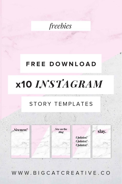 FREEBIE 10 Girly Instagram Story Templates Big Cat Creative Free Template Download