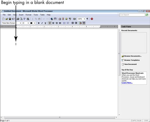How To Create A Microsoft Works Document Dummies Processor