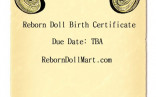 How To Create A Reborn Doll Birth Certificate For Baby Dolls