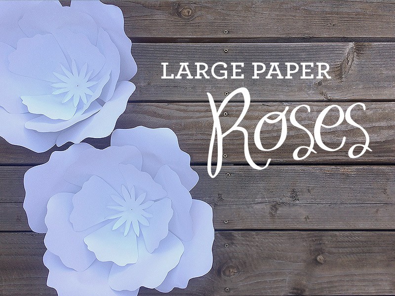 How To Make Giant Paper Roses Plus A Free Petal Template Flower