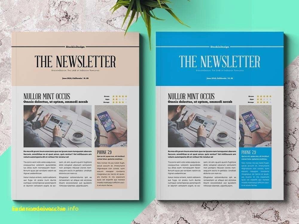 Indesign Newsletter Templates Inspirational Awesome