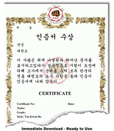 Korean Martial Arts Certificate Templates Pinterest Karate Certificates Free