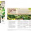 Landscaping And Quotes Free Landscape Design Brochure Templates Template