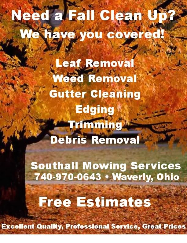 Leaf Clean Up Flyers Zrom Tk