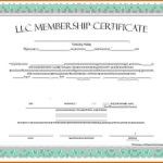 Llc Membership Certificate Template Best Word