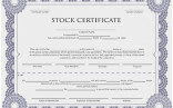Llc Membership Certificate Wonderfully Corporate Stock Template Word