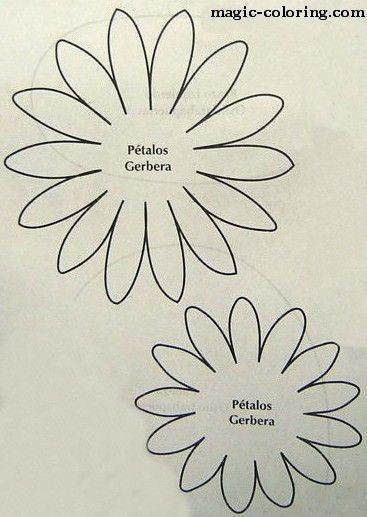 MAGIC COLORING Gerbera Flower Template Daisy Pinterest Gerber