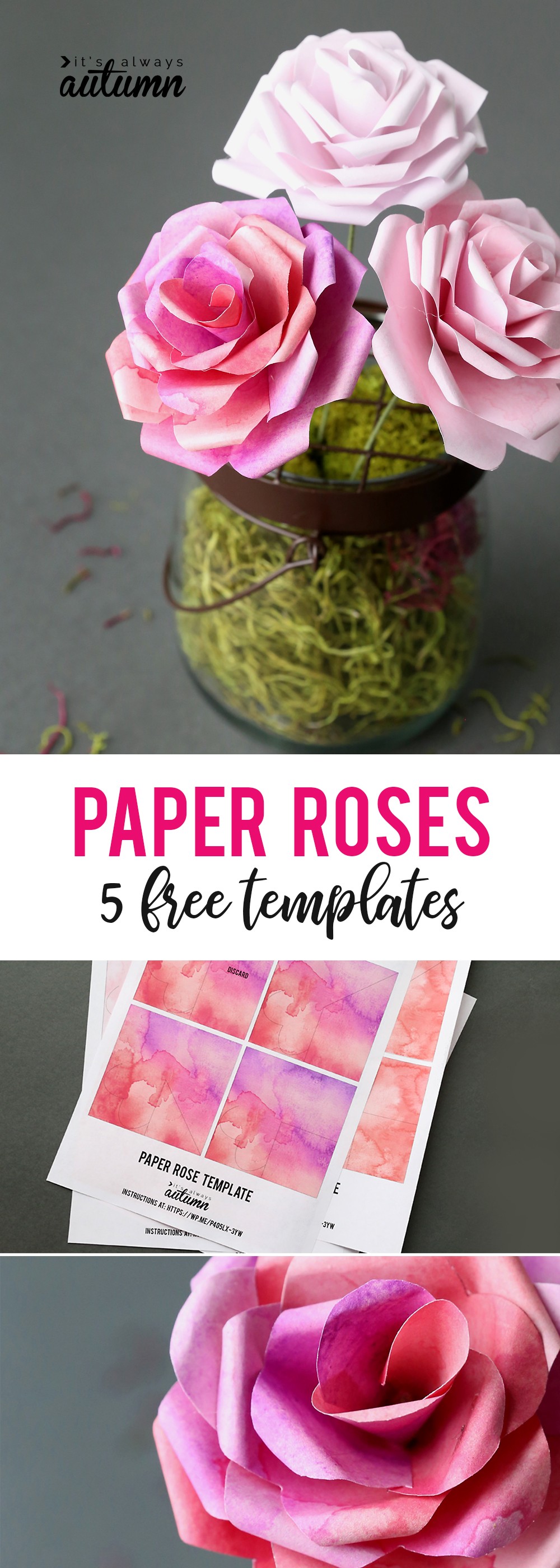 Make Gorgeous Paper Roses With This Free Rose Template It S Flower