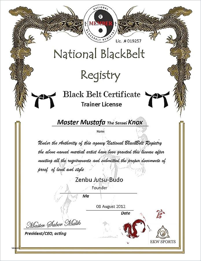 Martial Arts Certificate Template
