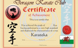 Martial Arts Grading Certificate Template Art Karate Certificates Templates Free