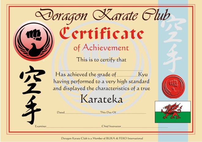 Martial Arts Grading Certificate Template Art Karate Certificates Templates