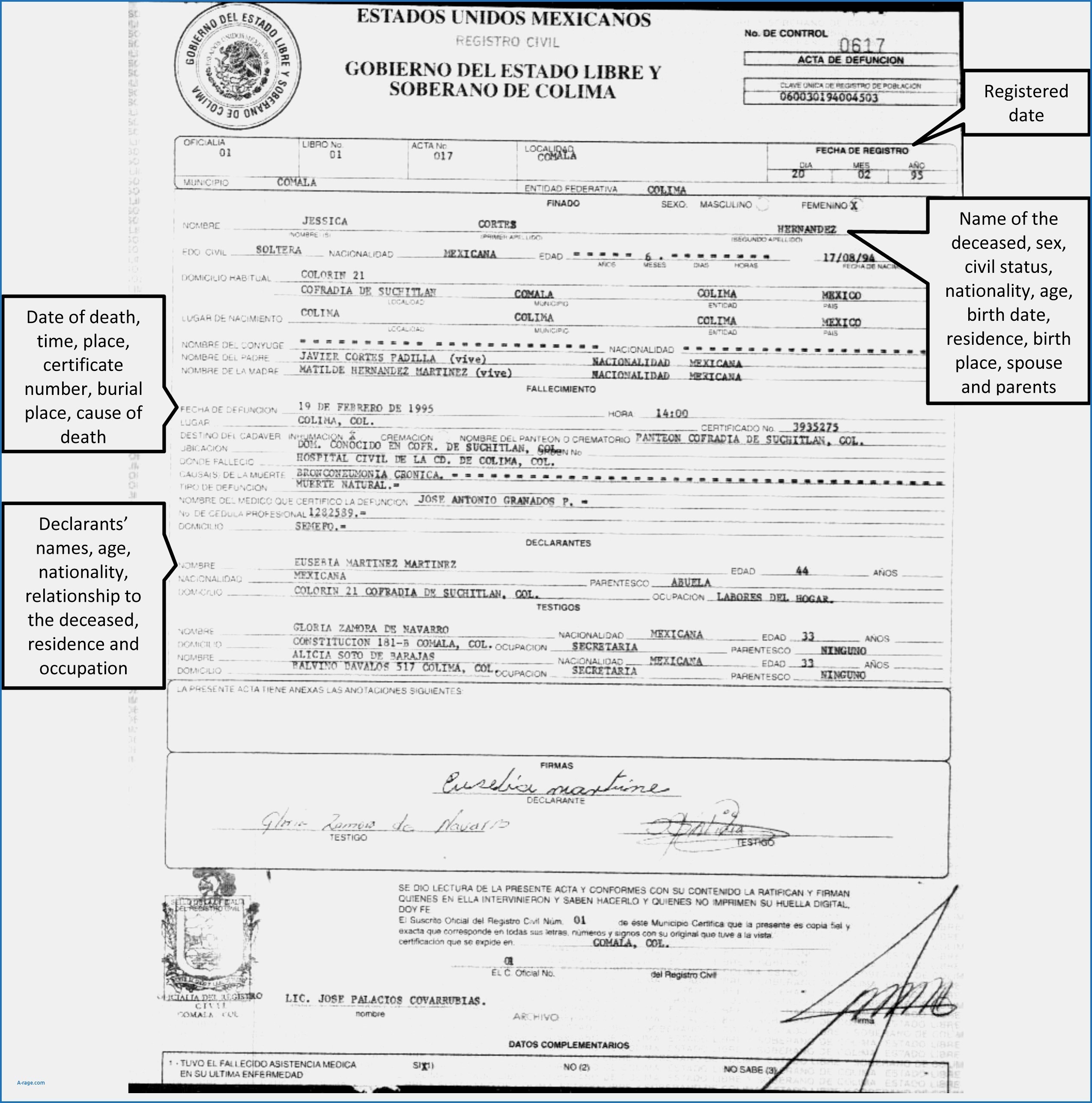 Mexican Marriage Certificate Template Birth