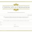 Minister License Certificate Template Of Ordination Free Preacher