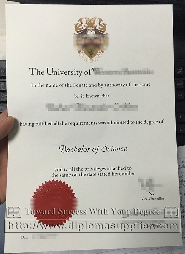 Novelty Degree Certificates Fake Bachelors Certificate