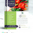 Nutrition Brochure Template Diet
