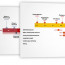 Office Timeline Make Professional PowerPoint Timelines And Gantt Template