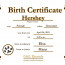 Official Birth Certificate Template Sample Blank Images
