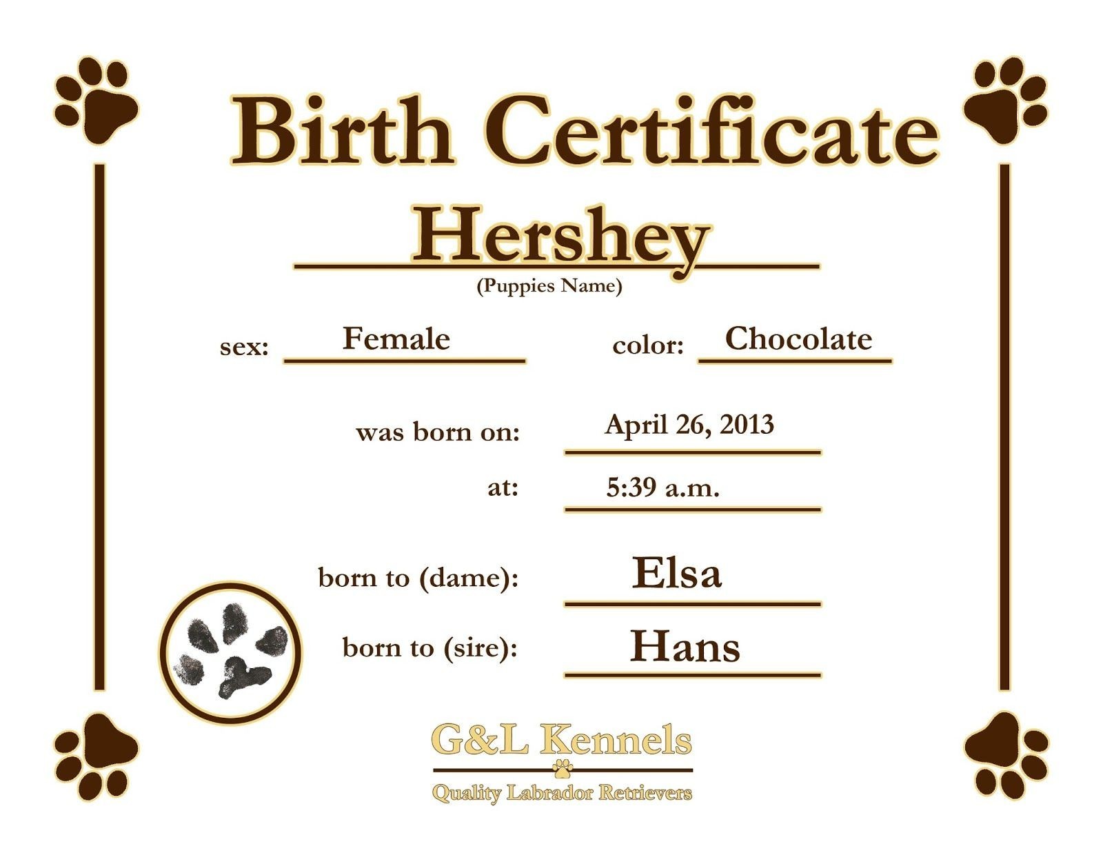 Official Birth Certificate Template Sample Blank