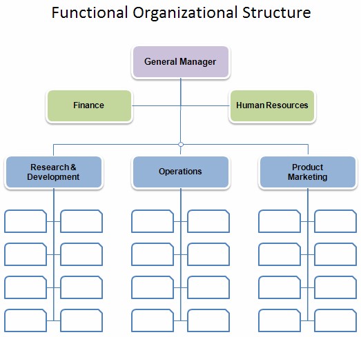 Organisational Structure Templates Ukran Agdiffusion Com Corporate Template