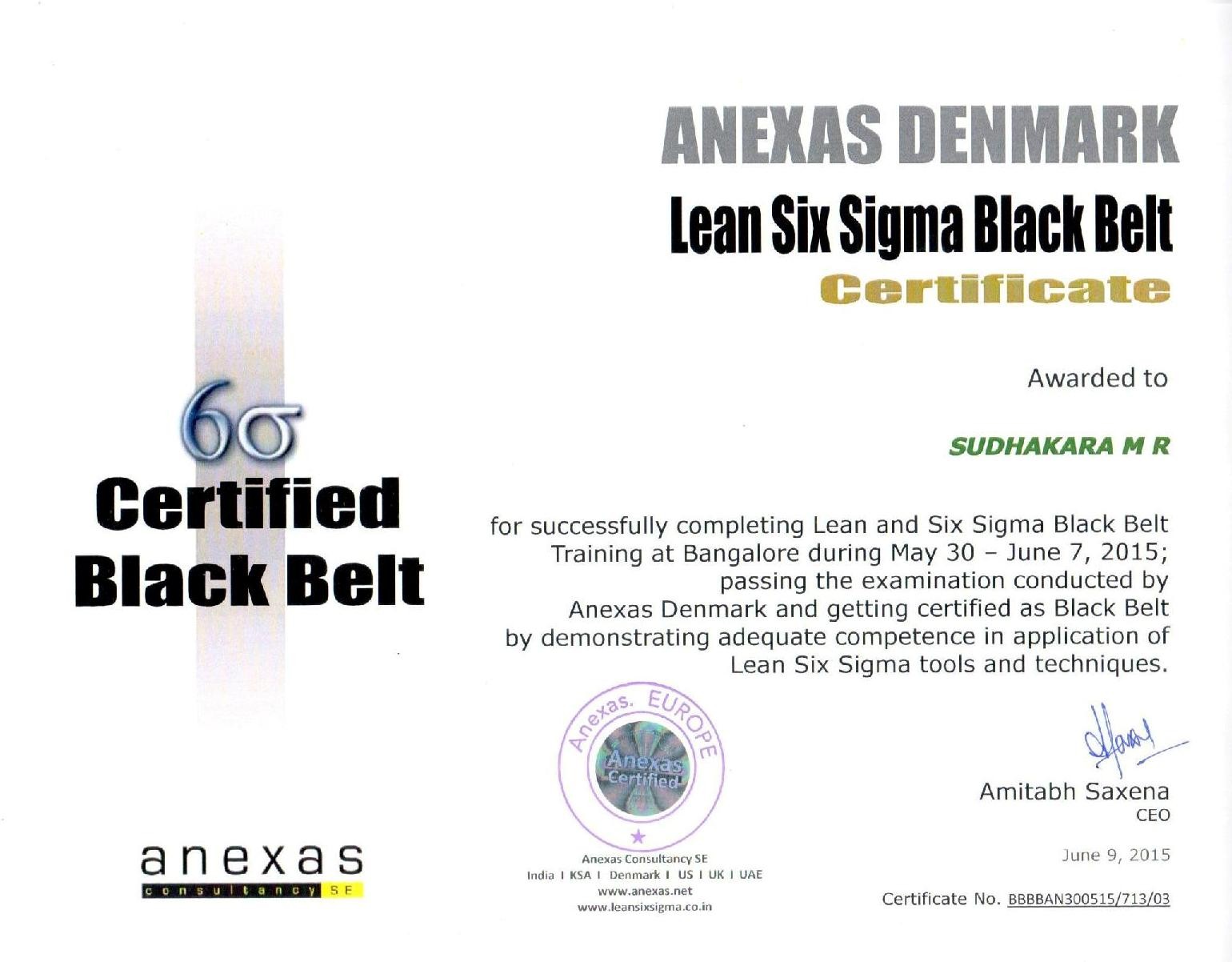 Personal Essay Writing Classes New York Sample Six Sigma Black Belt Certificate Template
